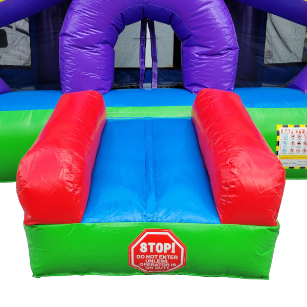 Ferris Wheel Bouncer