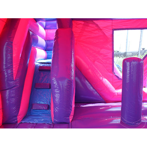 Pink Castle Combo Wet n Dry