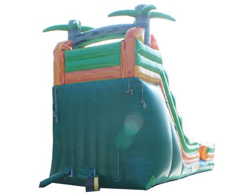 19'H Palm Tree Slide Wet n Dry