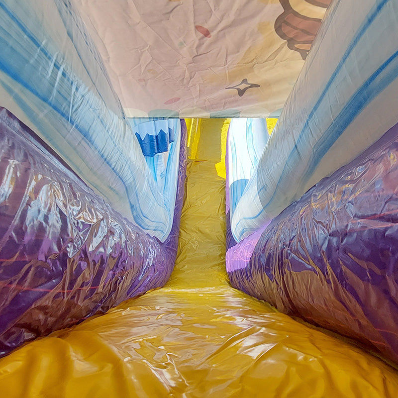 19'H Dual Lane Ice Cream Slide Wet n Dry