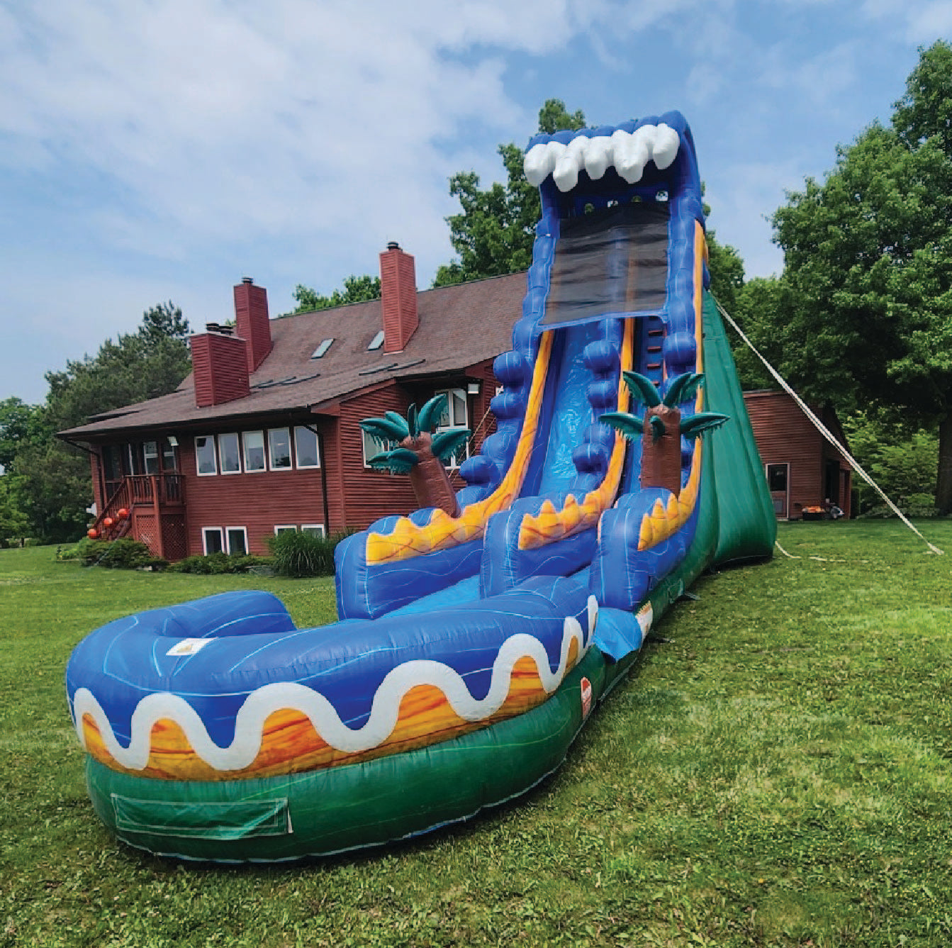 24'H Palm Tree Super Slide W n D