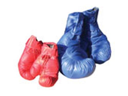 Boxing Gloves (Big) (One Pair)